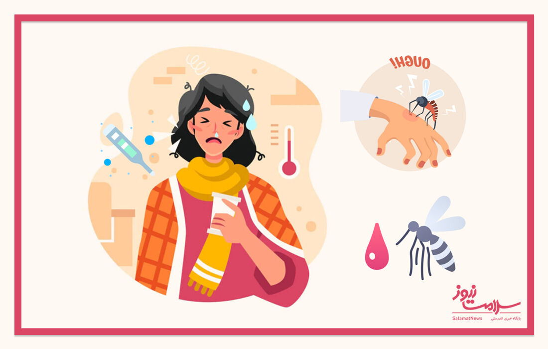 بیماری تب دنگ چیست و چگونه انسان به آن مبتلا می شود؟ بیماری تب دنگ چیست و چگونه انسان به آن مبتلا می شود؟