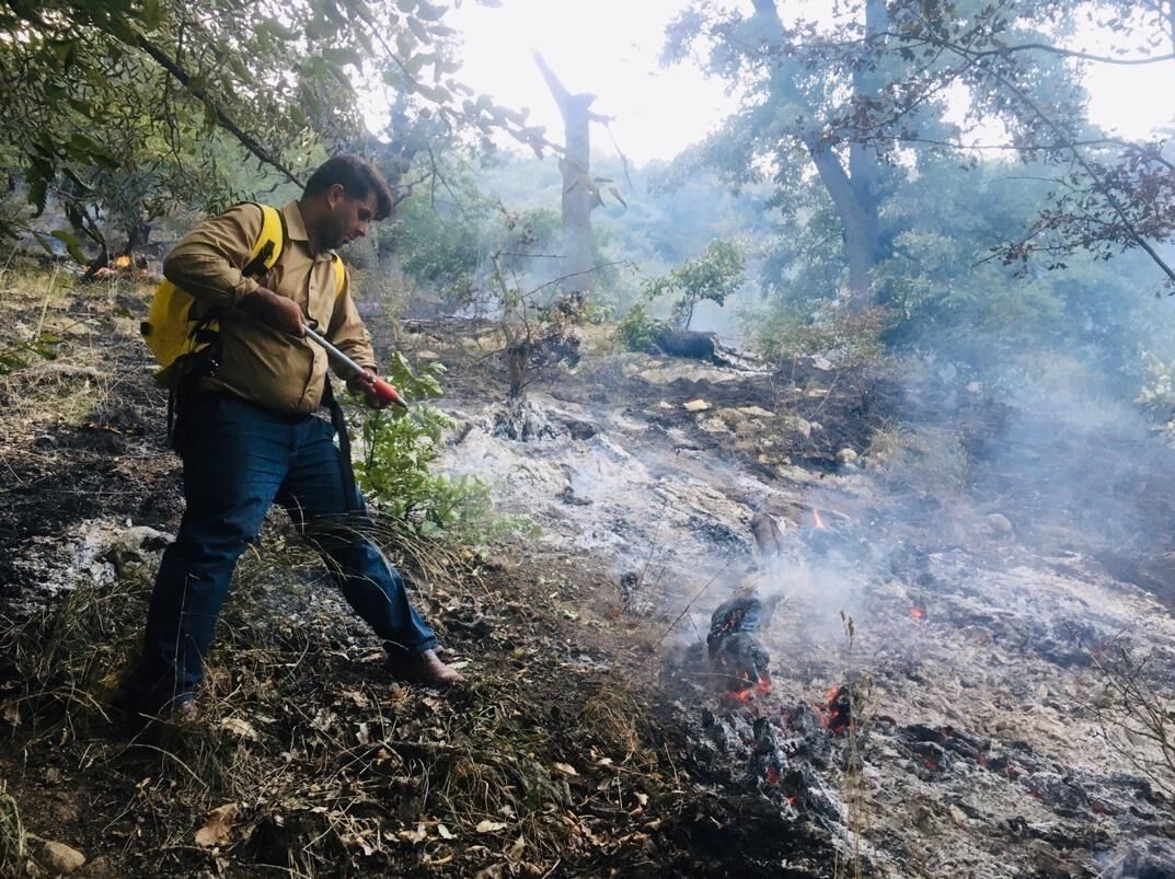 20 هکتار از جنگل های  سوزنی برگ مینودشت گلستان در آتش سوخت 