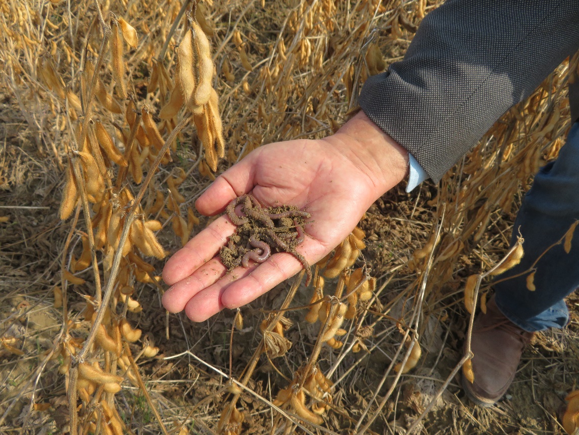 بهترین راه، کمک دولت به "کشاورزی حفاظتی" است