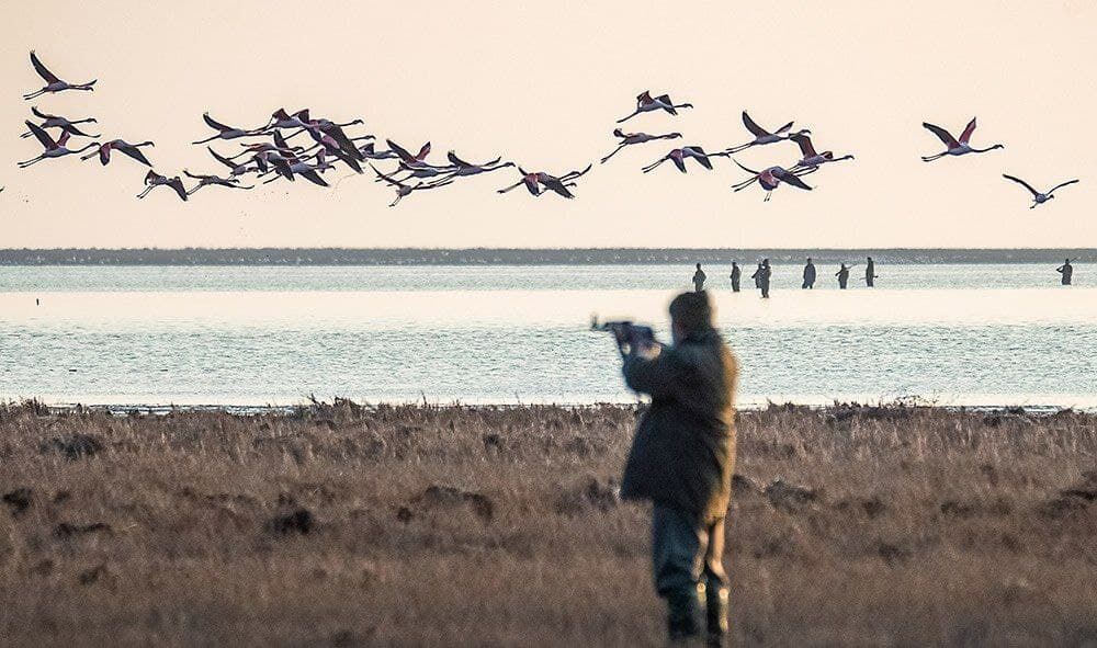 بیشترین جرائم محیطزیستی شامل چه مواردی است؟ بیشترین جرائم محیطزیستی شامل چه مواردی است؟