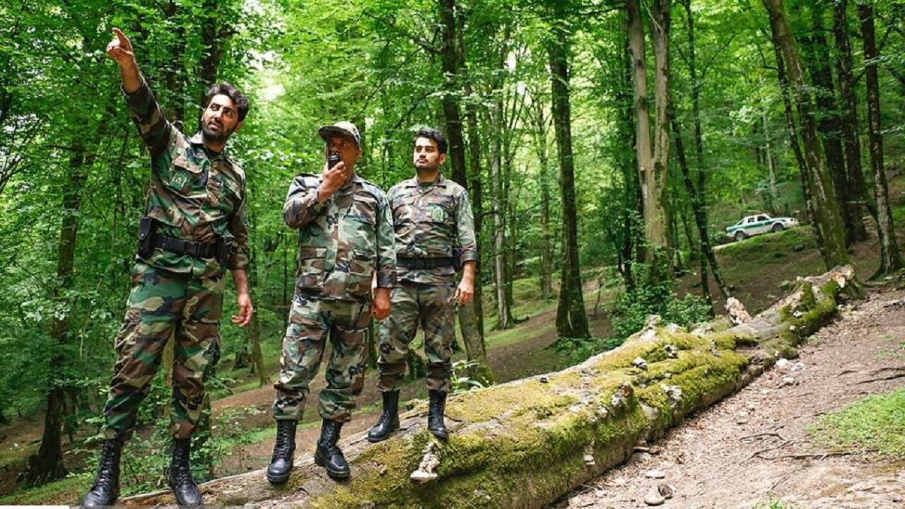 نبود امنیت جانی و نامشخص بودن قراردادهای کاری، مهم ترین مساله جنگل بانان ایرانی نبود امنیت جانی و نامشخص بودن قراردادهای کاری، مهم ترین مساله جنگل بانان ایرانی