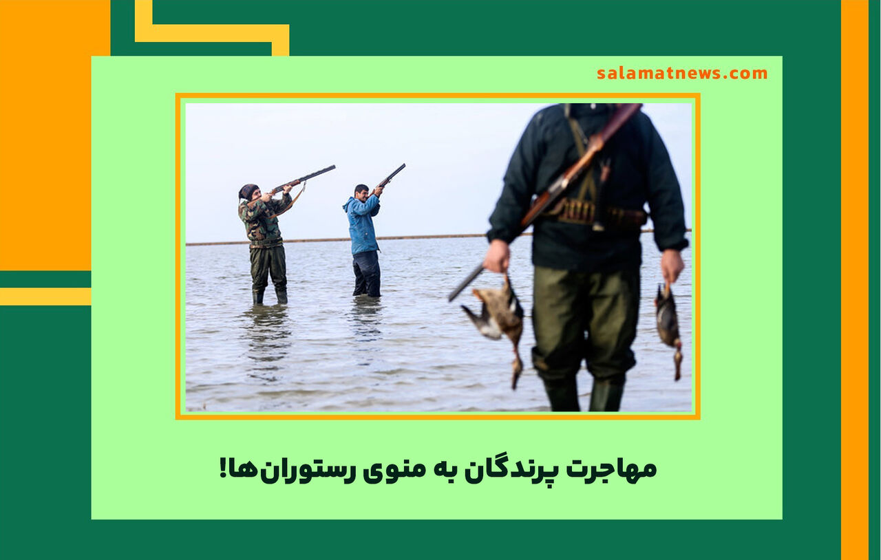 مهاجرت پرندگان به منوی رستورانها! مهاجرت پرندگان به منوی رستورانها!