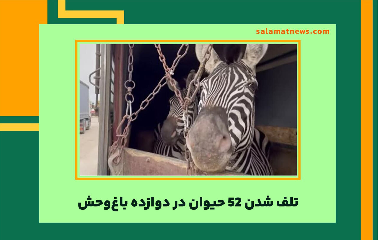 تلف شدن 52 حیوان در دوازده باغ‌وحش