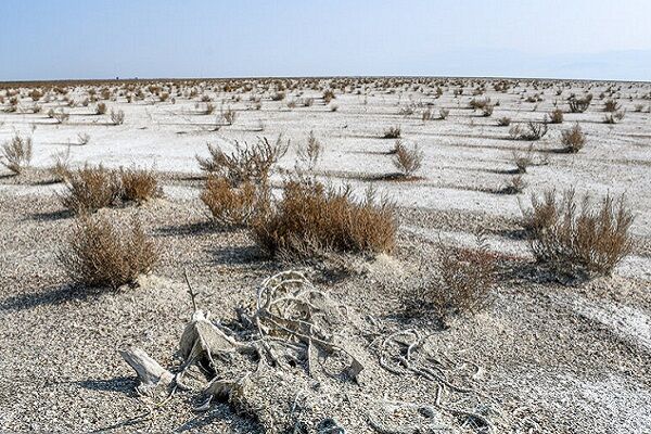 هشدار نسبت به بیابانی شدن گلستان