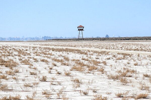 هشدار نسبت به بیابانی شدن گلستان