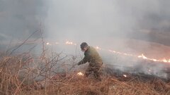 ۲۰ هکتار جنگل هیرکانی اسیر شعله‌های آتش شد