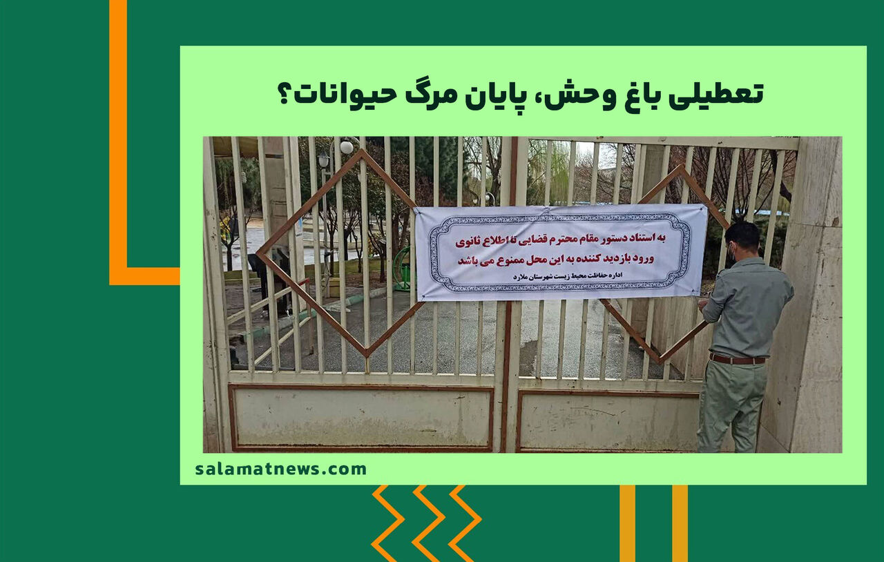 تعطیلی باغ وحش، پایان مرگ حیوانات؟ تعطیلی باغ وحش، پایان مرگ حیوانات؟