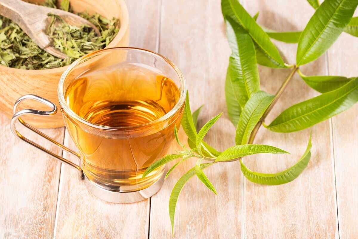 به لیمو؛ همه چیز درباره یک گیاه فوق العاده