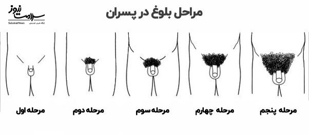 مراحل بلوغ در پسران