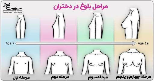 مراحل بلوغ در دختران