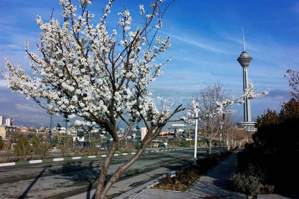 وزش باد شدید و خیزش گردوخاک در نقاط مختلف کشور وزش باد شدید و خیزش گردوخاک در نقاط مختلف کشور