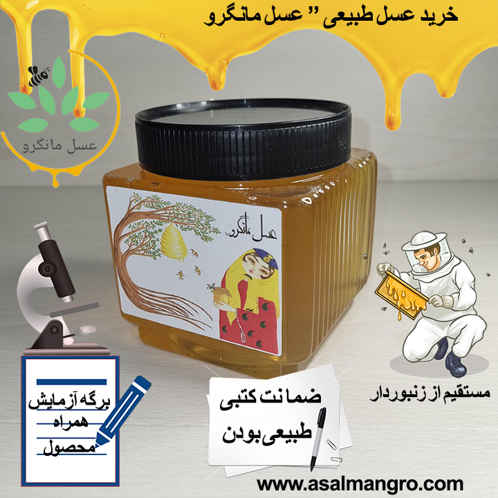 درمان سینوزیت با عسل و مواد طبیعی