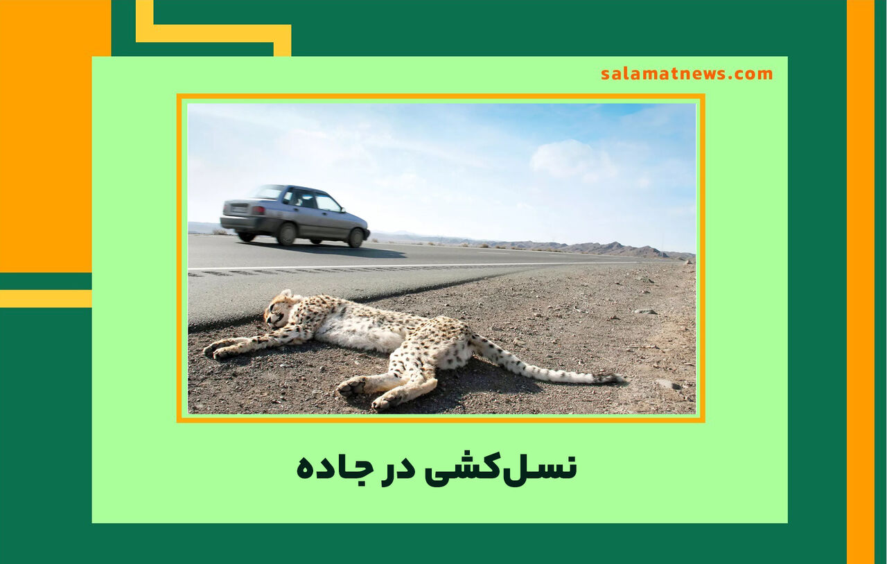 نسـل‏‌کشی در جـاده