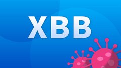 زیرسویه XBB.۱.۵ عامل اصلی افزایش کرونا در کشور/ ۱۳ هزار مراجعه روزانه به مراکز درمانی