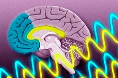مغز انسان خاطرات را تغییر می‌دهد