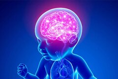 مغز کودک تا 6 سالگی؛ همه چیز درباره رشد و تکامل ذهنی(+اینفوگرافی)