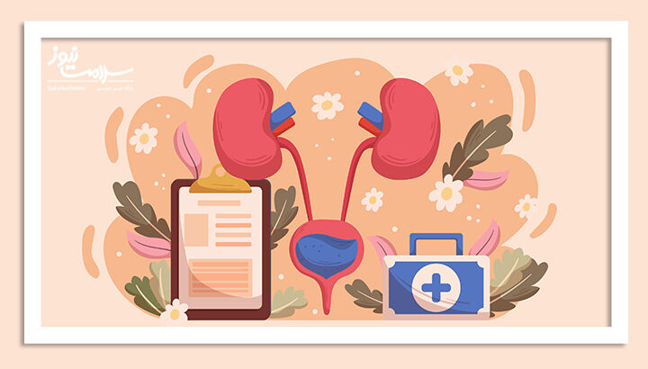 وقتی عفونت ادراری داریم چه نخوریم؟ وقتی عفونت ادراری داریم چه نخوریم؟