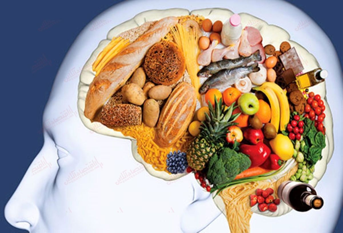 غذاهایی که در حفظ جوانی مغز موثر است
