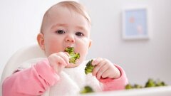 عادات سلامت غذایی کودکان در گرو کیفیت رژیم غذایی مادر