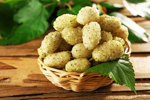 با این میوه افسردگی را دور کنید؛ توت سفید، معجزه طبیعت برای آرامش ذهن