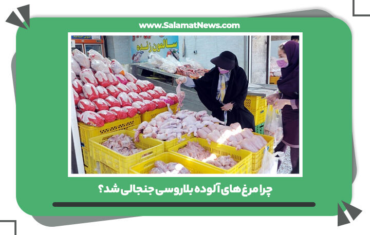 چرا مرغهای آلوده بلاروسی جنجالی شد؟ چرا مرغهای آلوده بلاروسی جنجالی شد؟