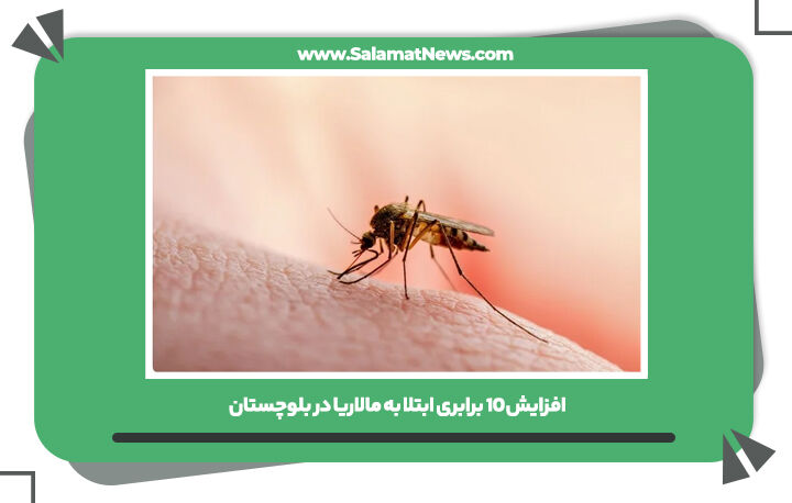 افزایش ۱۰ برابری ابتلا به مالاریا در بلوچستان