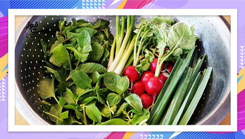 الزامات سبزی خوردن بسته‌بندی اعلام شد