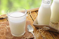 جوشاندن شیر چه مضراتی دارد/ شیر کم چرب بخورید