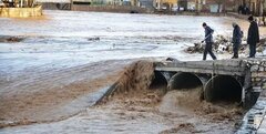 ایران دیگر تاب سیلاب ندارد / دستکاری در اراضی و منابع ملی مقصر اصلی سیلاب ها