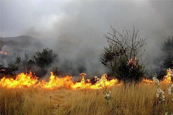 کاهش 90درصدی آتش‌سوزی جنگل‌ها