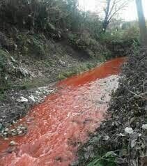 حال مازندران خوب نیست/ فاجعه زیست محیطی "پسماند" در مازندران (+عکس)