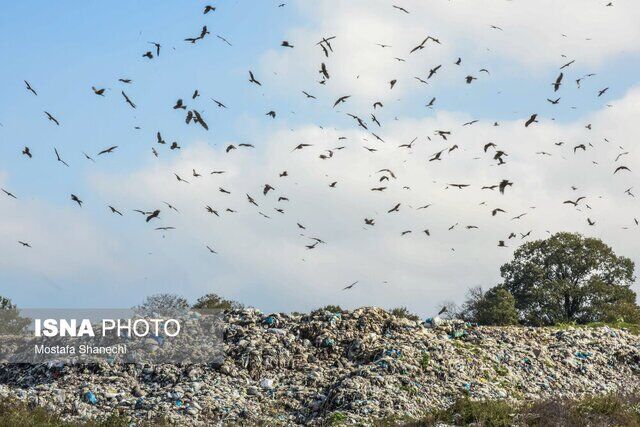 حال مازندران خوب نیست/ فاجعه زیست محیطی "پسماند" در مازندران (+عکس)
