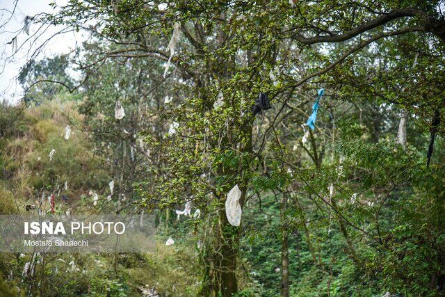 حال مازندران خوب نیست/ فاجعه زیست محیطی "پسماند" در مازندران (+عکس)