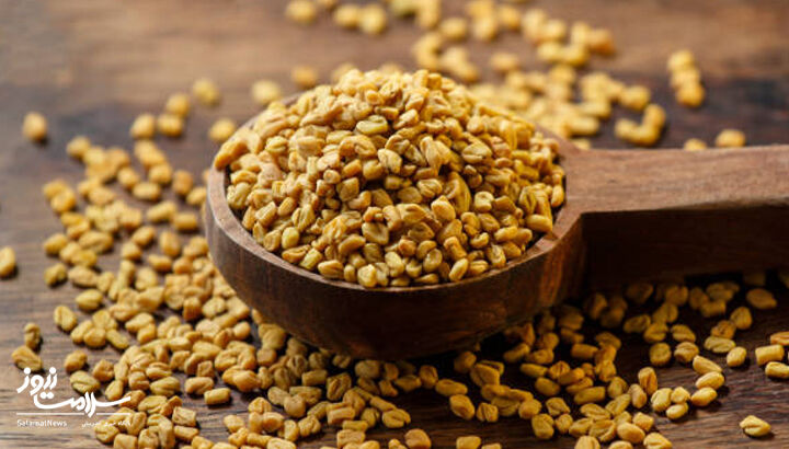 دانه شنبلیله