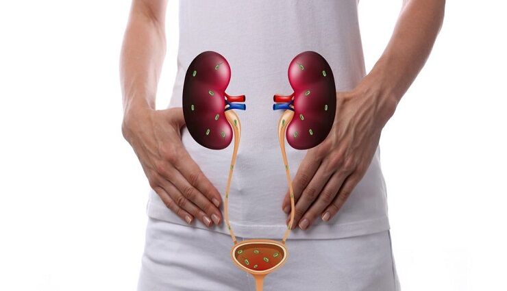 ناکارآمدی آنتیبیوتیکها در درمان عفونت ادراری / روش نوین انستیتوپاستور در درمان این بیماری ناکارآمدی آنتیبیوتیکها در درمان عفونت ادراری / روش نوین انستیتوپاستور در درمان این بیماری