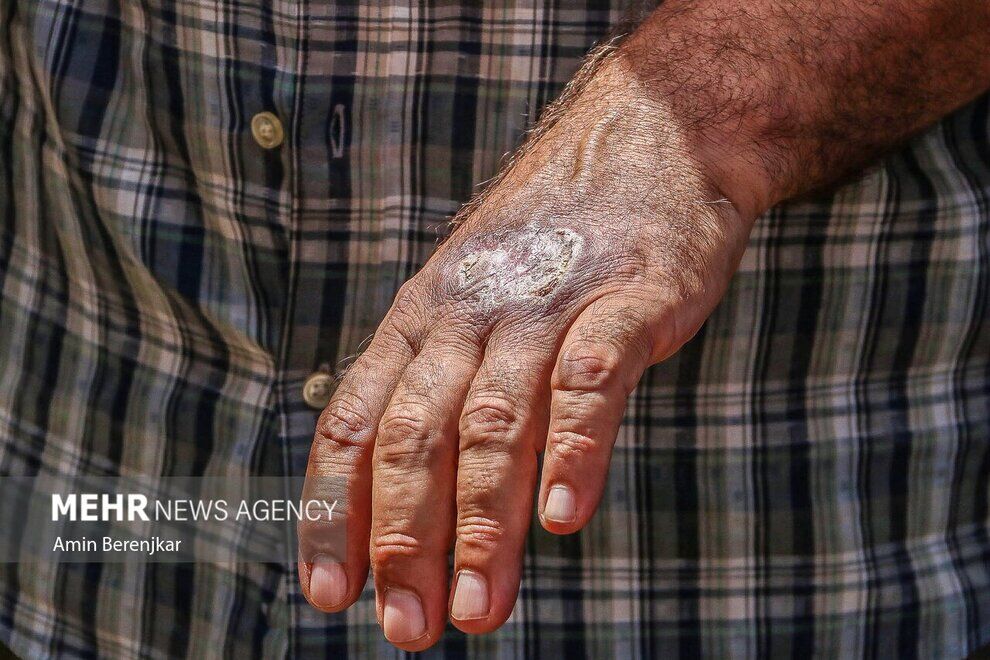 (تصاویر) جولان «سالَک» در شیراز