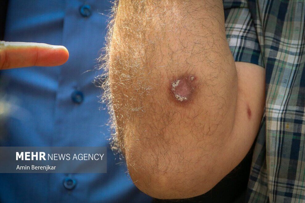 (تصاویر) جولان «سالَک» در شیراز