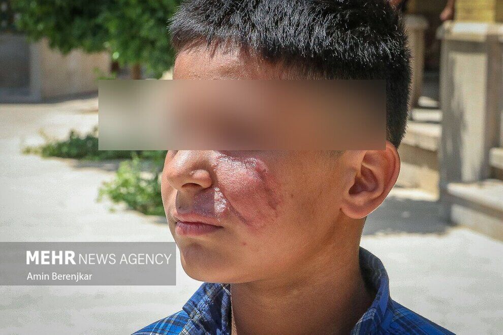 (تصاویر) جولان «سالَک» در شیراز