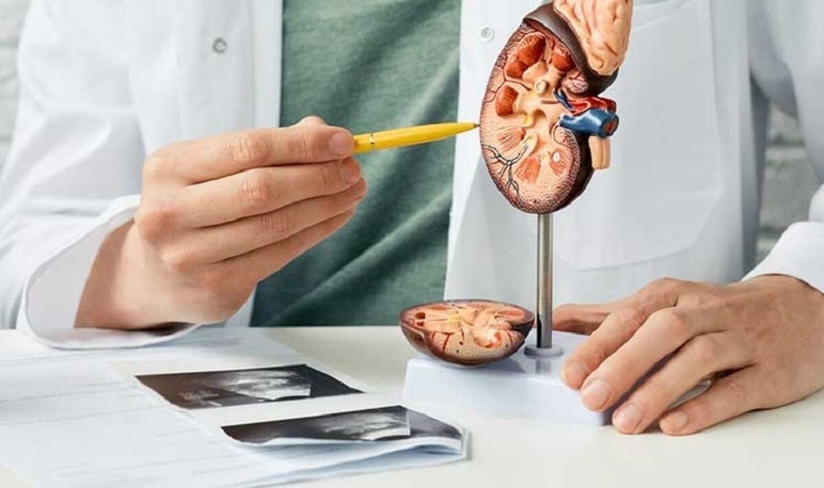 چرا ابتلا به سنگکلیه در کودکان و نوجوانان رو به افزایش است؟ چرا ابتلا به سنگکلیه در کودکان و نوجوانان رو به افزایش است؟