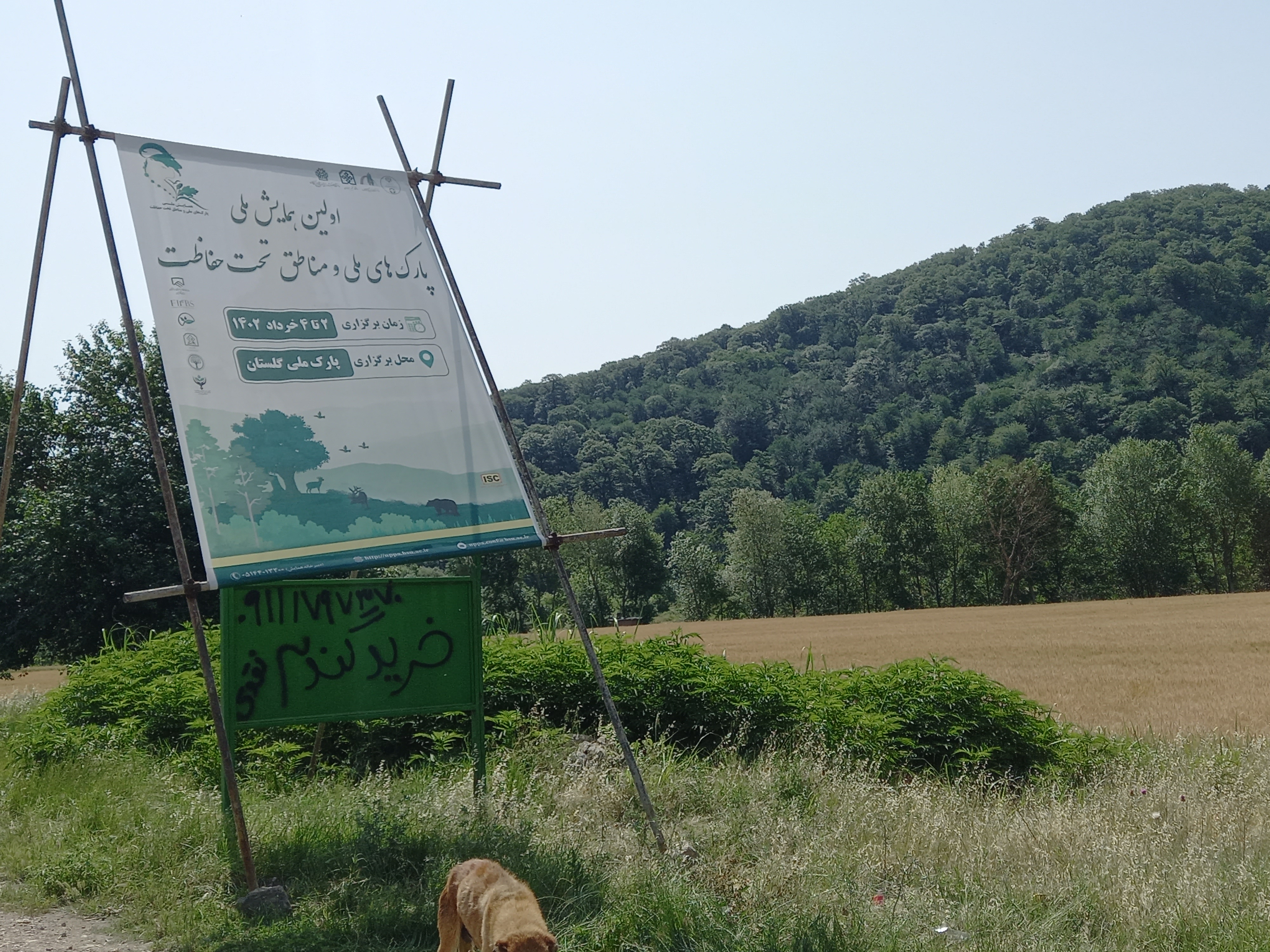 الگوی مدیریت را از منطقه و اقلیم وفرهنگ آن بگیرید/ سازمان حفاظت محیط زیست، به اندازه کافی در دولت قدرت ندارد