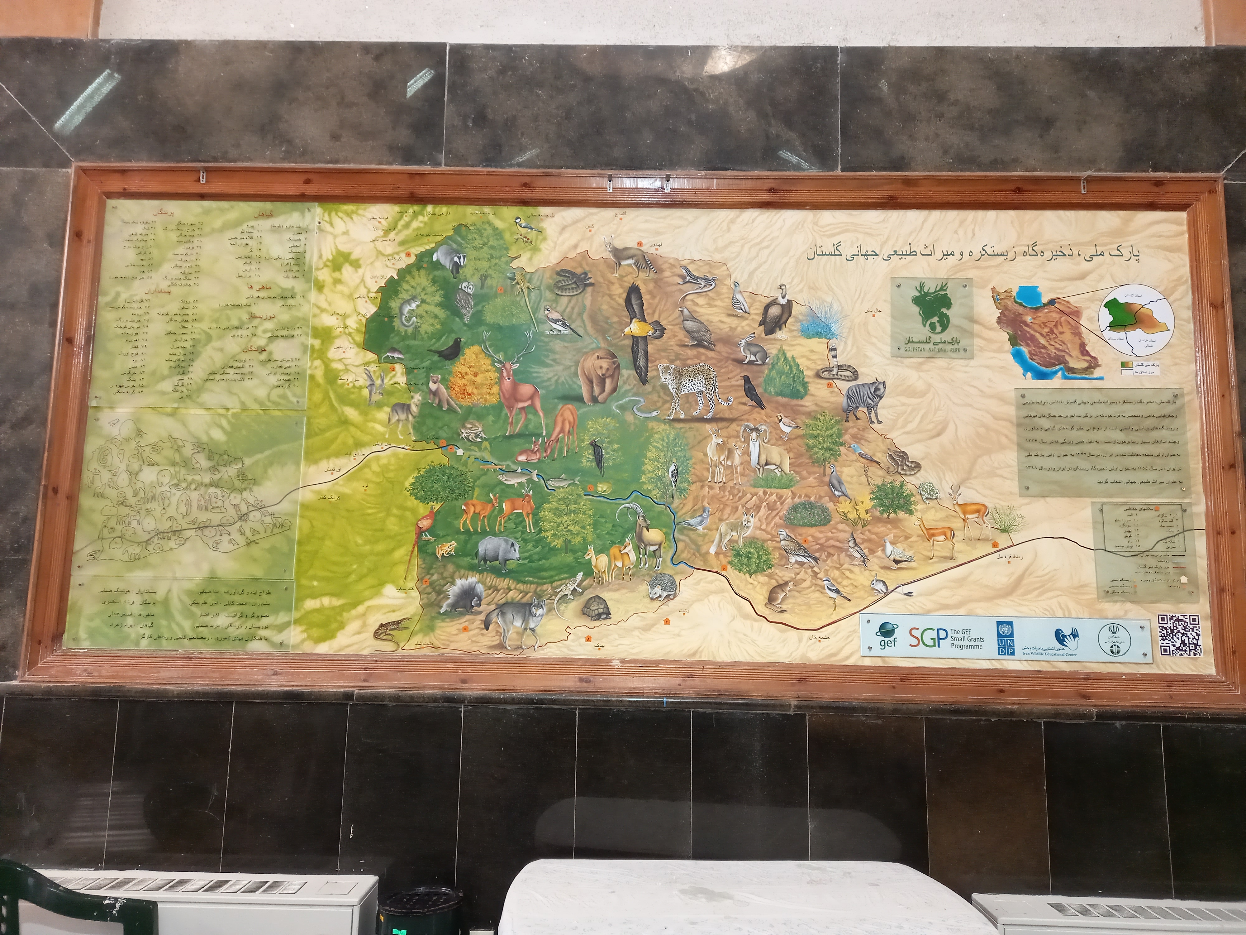 الگوی مدیریت را از منطقه و اقلیم وفرهنگ آن بگیرید/ سازمان حفاظت محیط زیست، به اندازه کافی در دولت قدرت ندارد