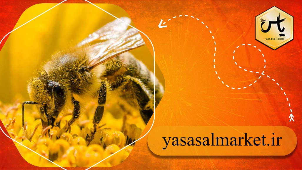ژل رویال، گرده گل، بره موم و دیگر محصولات زنبور عسل را چقدر می شناسید؟