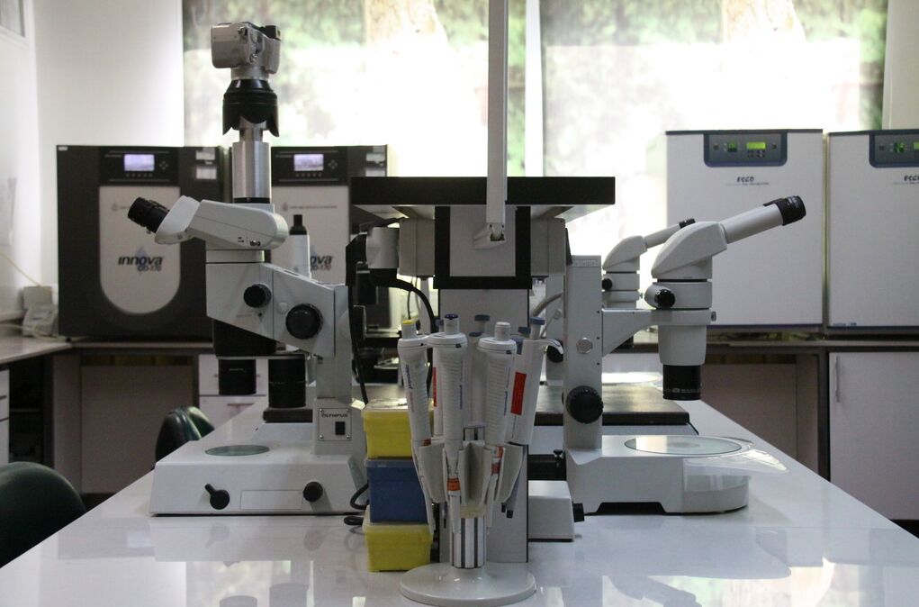 پژوهشگاه موفقی که از همان ابتدای کار، دانش بنیانی را سرلوحه کار خود قرار داد