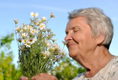 کاهش حس بویایی در سالمندی و افزایش خطر ابتلا به افسردگی