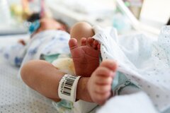 شیوع ویروس مرگبار در میان نوزادان سه کشور اروپایی