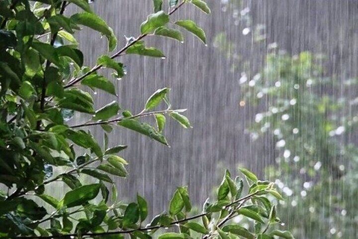 رگبار باران در نقاط مختلف کشور  رگبار باران در نقاط مختلف کشور
