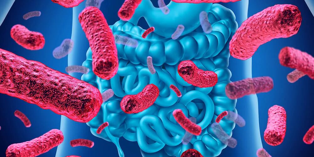 نوشیدنی های پروبیوتیک به بهبود سلامت روده ها کمک می کند نوشیدنی های پروبیوتیک به بهبود سلامت روده ها کمک می کند