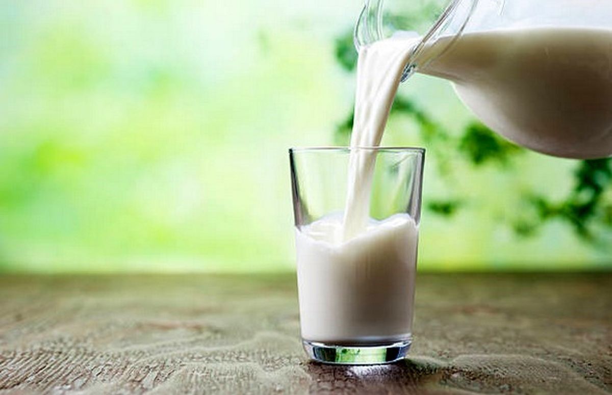 شیر غیرپاستوریزه را چگونه مصرف کنیم تا تب مالت نگیریم شیر غیرپاستوریزه را چگونه مصرف کنیم تا تب مالت نگیریم