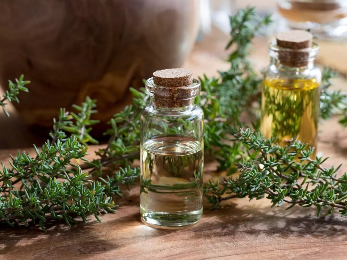 آویشن؛ از درمانهای طبیعی تا کنترل فشار خون و تقویت سیستم ایمنی آویشن؛ از درمانهای طبیعی تا کنترل فشار خون و تقویت سیستم ایمنی