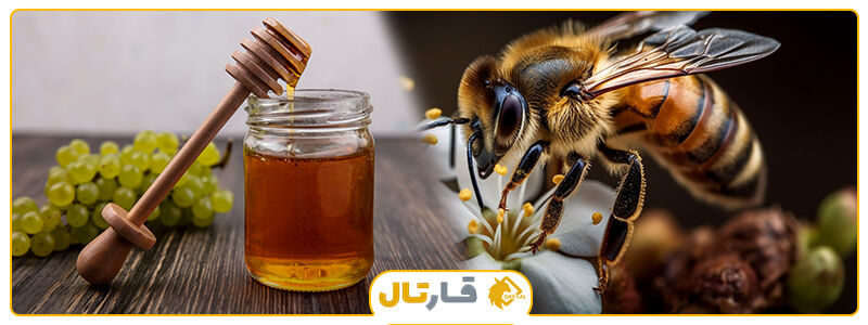 تقویت قوای جنسی با عسل تقویت قوای جنسی با عسل